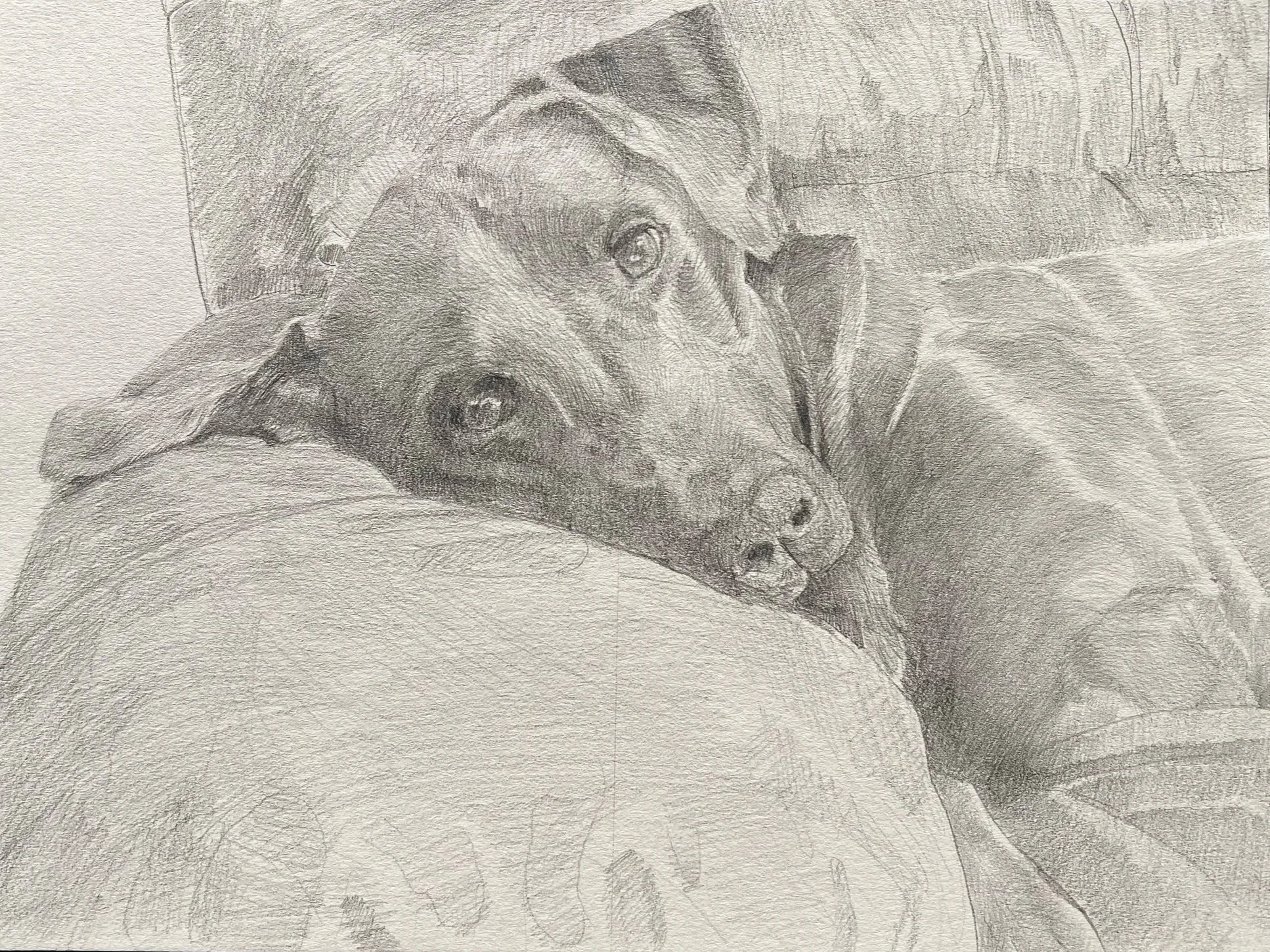 9x12 Pet Portrait