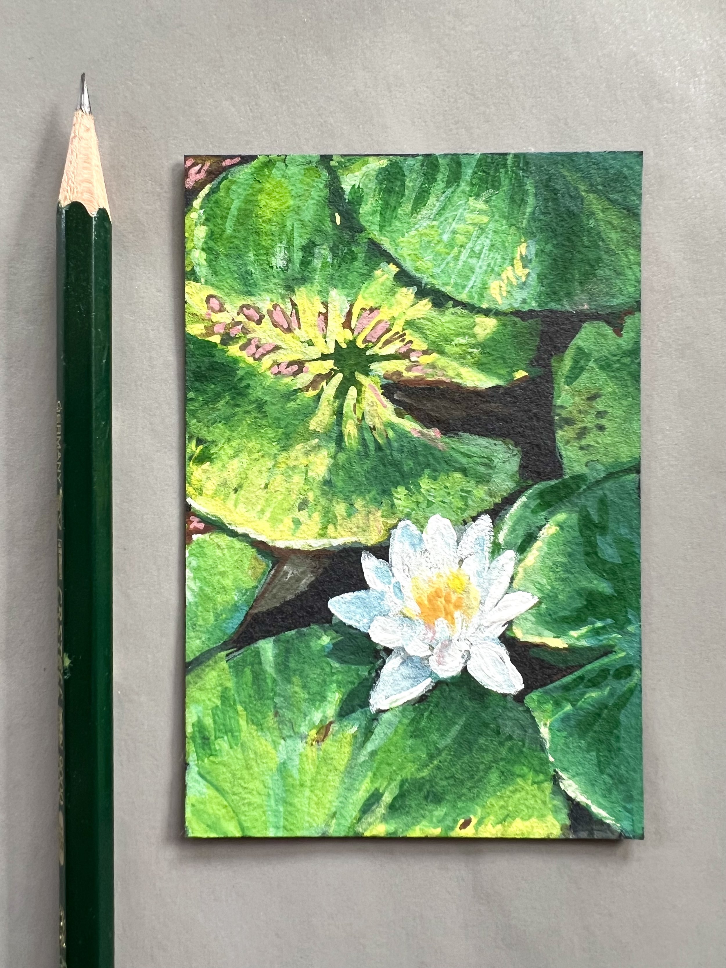 2025_Lillypads_to Scale_3.5x2.5_WC&GPaper_Available.jpeg.jpeg