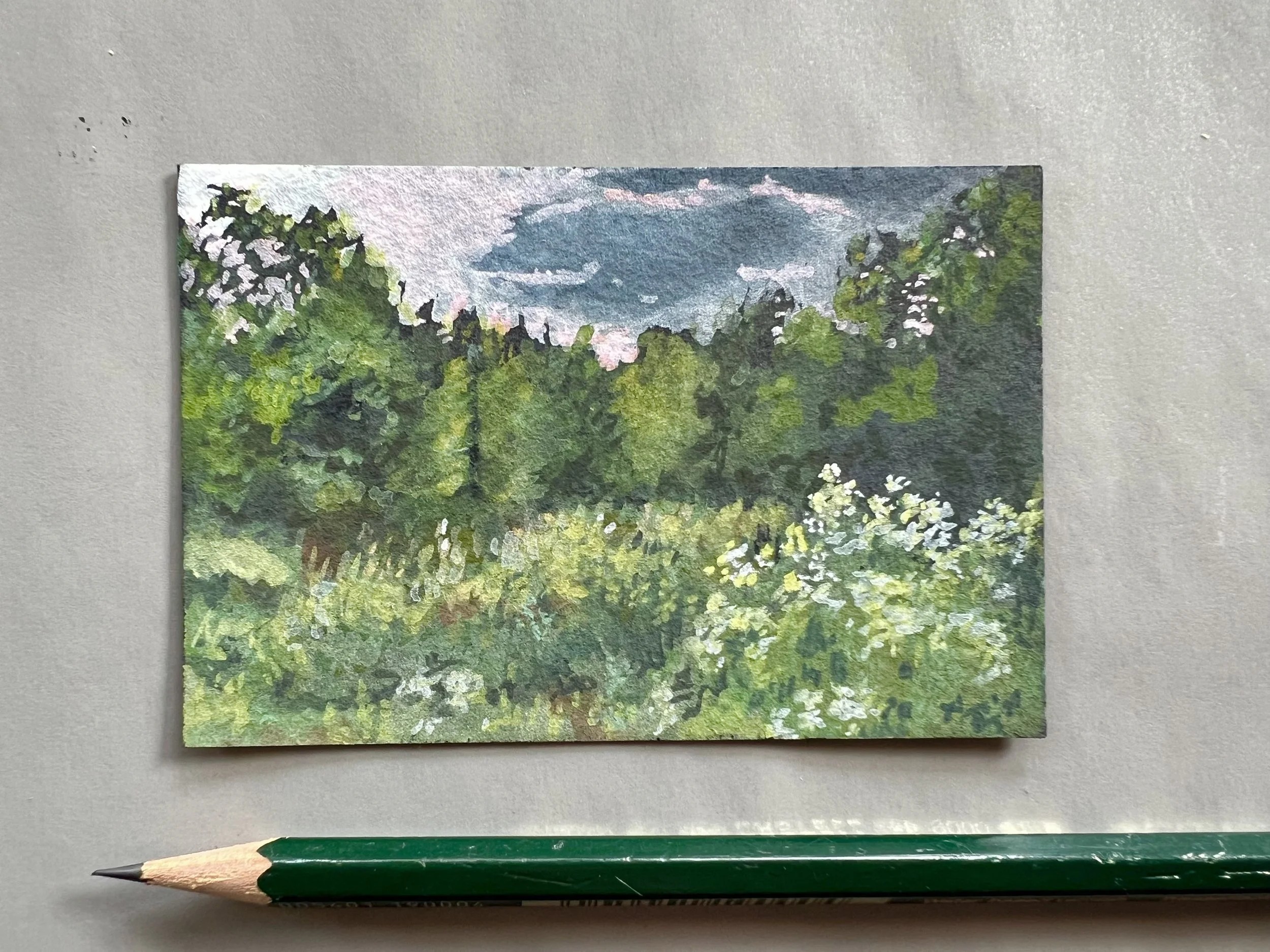 2025_Prairieatdusk to scale_2.5x3.5_WC&Gpaper_Available.jpeg.jpeg