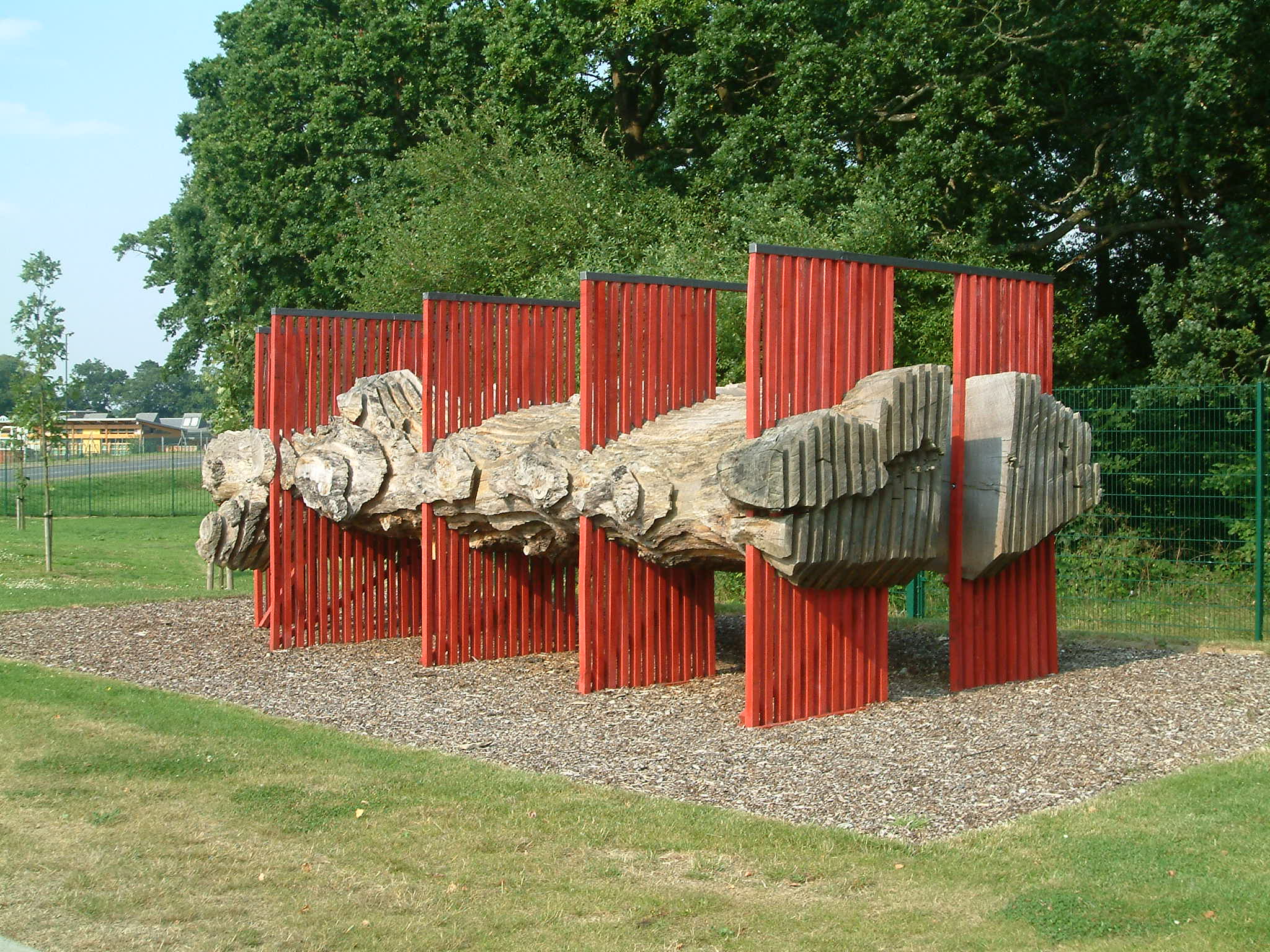 Journey through a log, Fred Baier