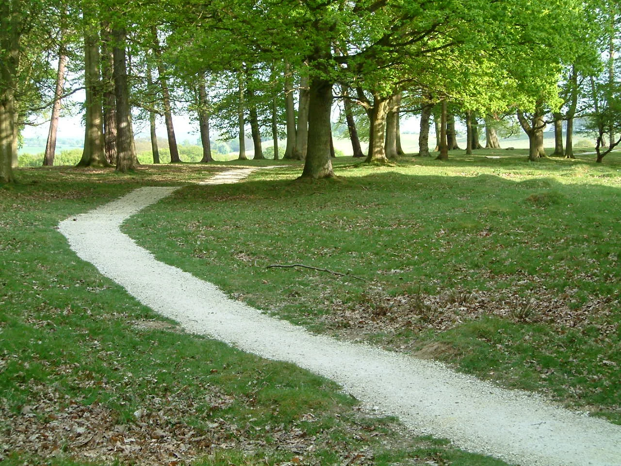 Moonlit path, Andy Goldsworthy