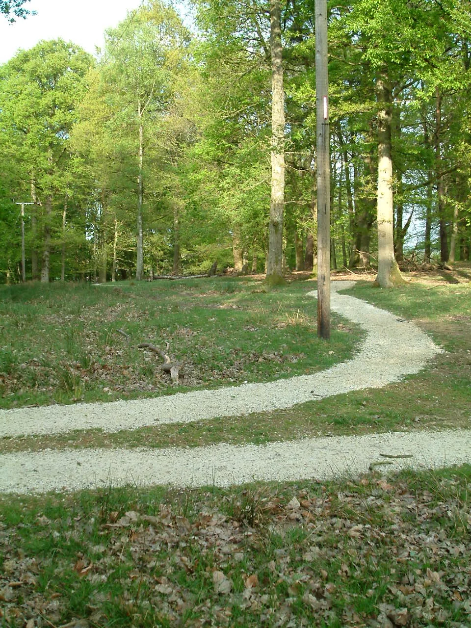 Moonlit path, Andy Goldsworthy
