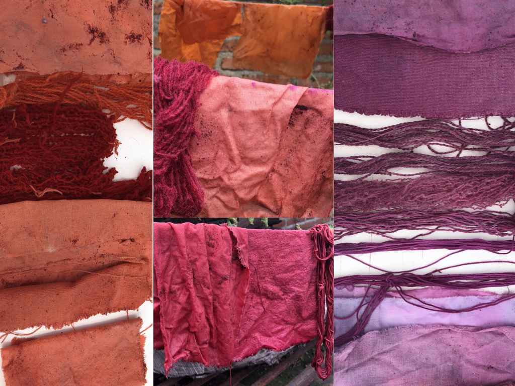 Color ranges of Cochineal, explored in workshop in Guadalajara, oct 2018