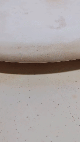 VID_20250212_152301_011.gif