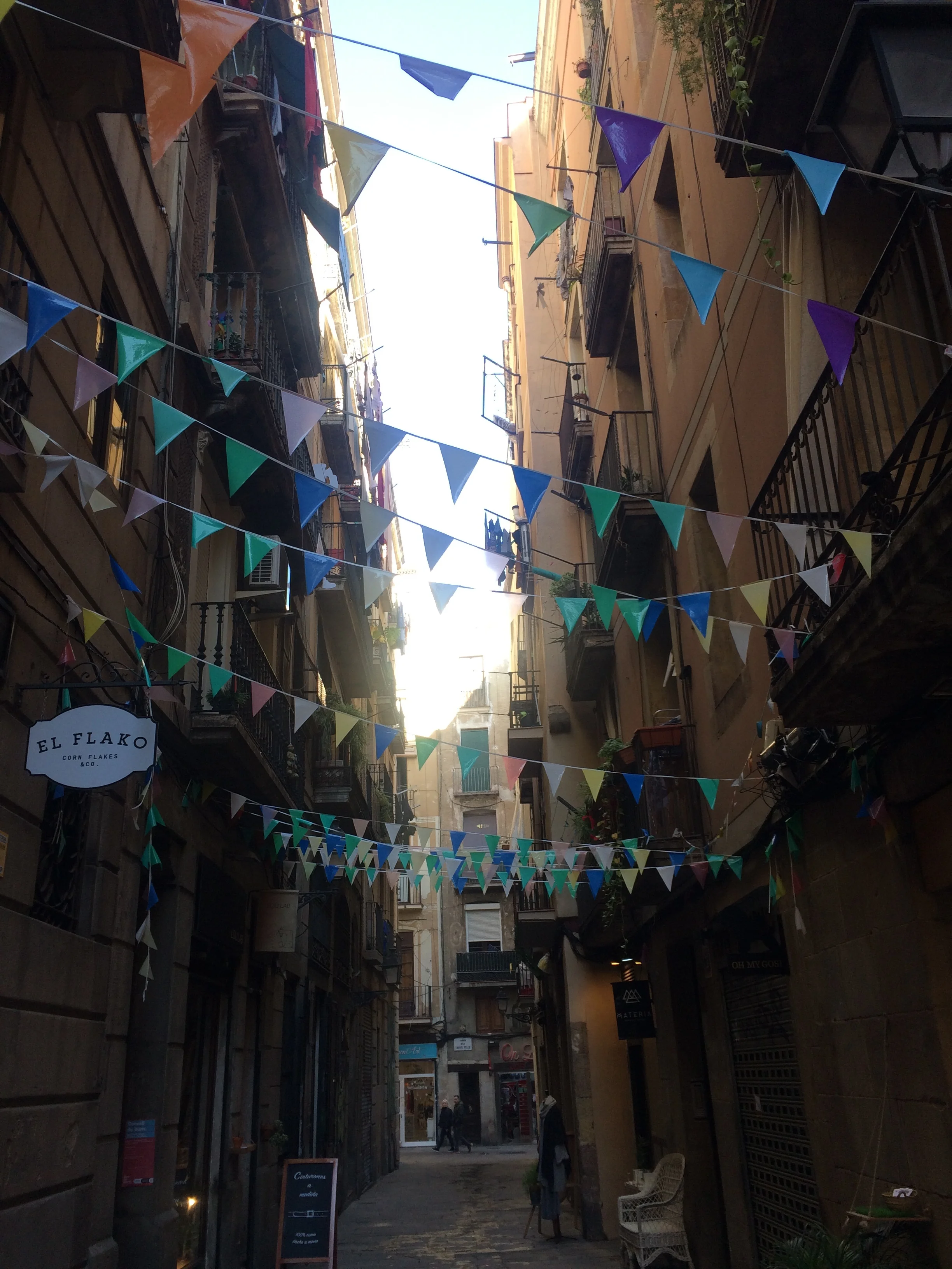 A Training in Beauty: Learning to See Differently