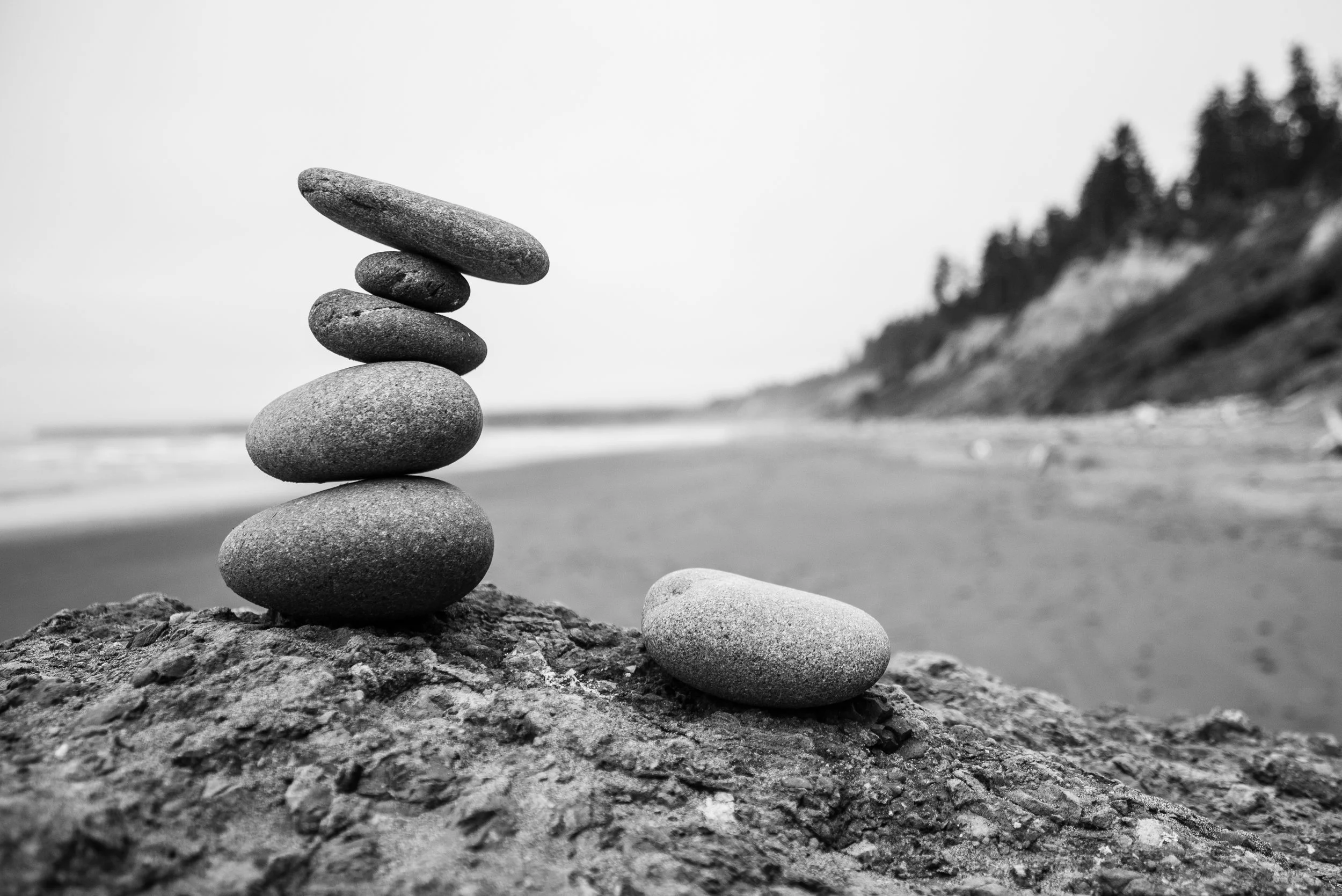 On Rock Hunting and Not Looking for Anything In Particular