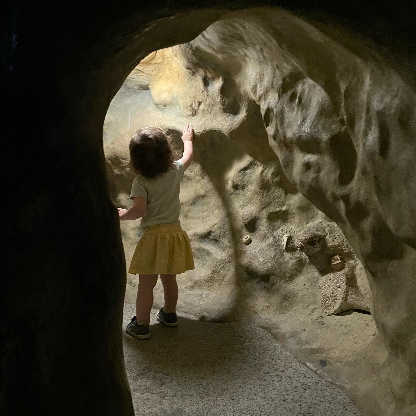 Childlike wonder. 

I love going to museums with my girls because they bring such life and joy to my experience of walking through the space. Whether it&rsquo;s a Natural History Museum like in these photos or our more usual art museum adventures. 

