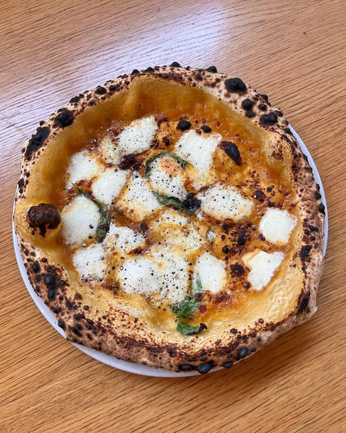 Tedenska! 💥 Provola e pepe z omako iz rumenih paradižnikov, dimljenim provolone sirom, baziliko in poprom 🙂&zwj;↕️ in solata z regratom, pečenimi &scaron;parglji, ajdovo ka&scaron;o, mehko kuhanim jajcem, hrustljavo čebulo in gorčičnim prelivom. Po