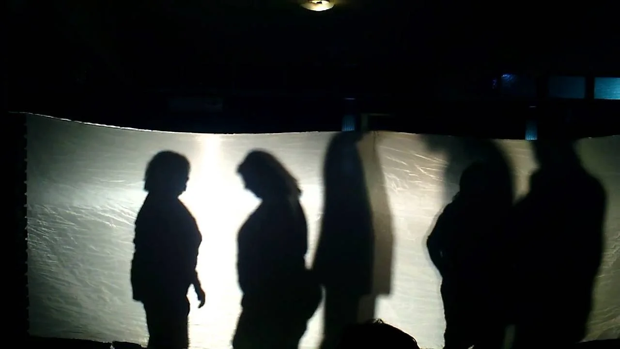 projected shadows.jpeg