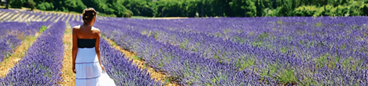 Spa Partner - Wide.gif