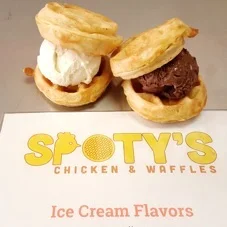 spoty_waffle_ice_cream.jpg
