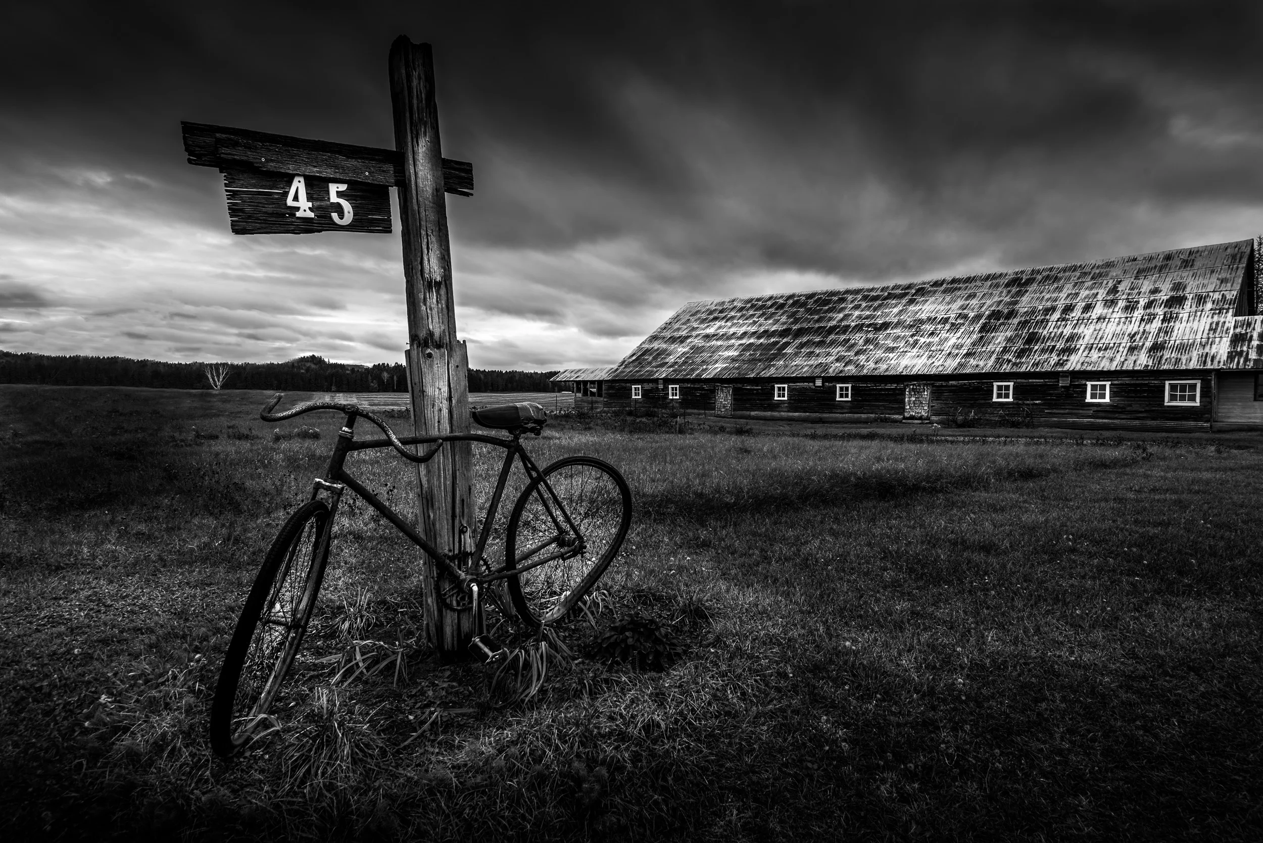 The abandoned bike of the 45