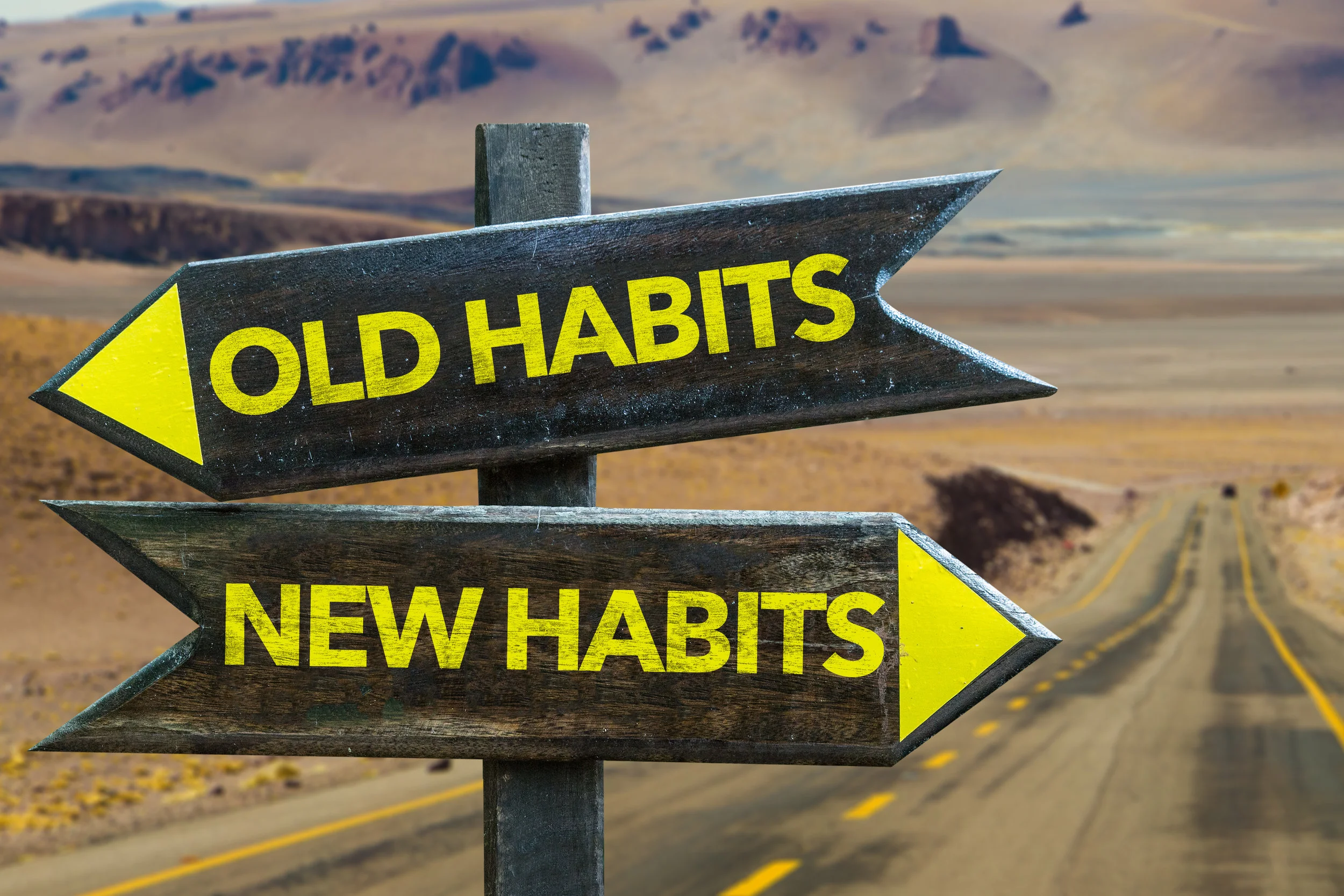 The Power of Habit
