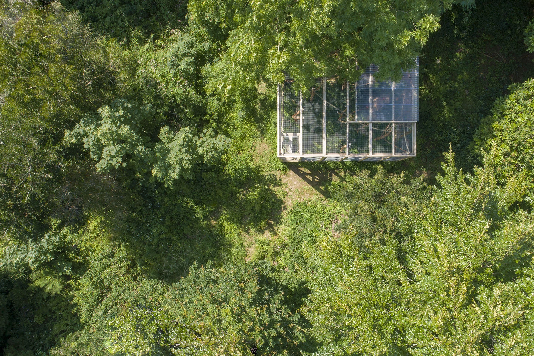 DJI_0047.jpg