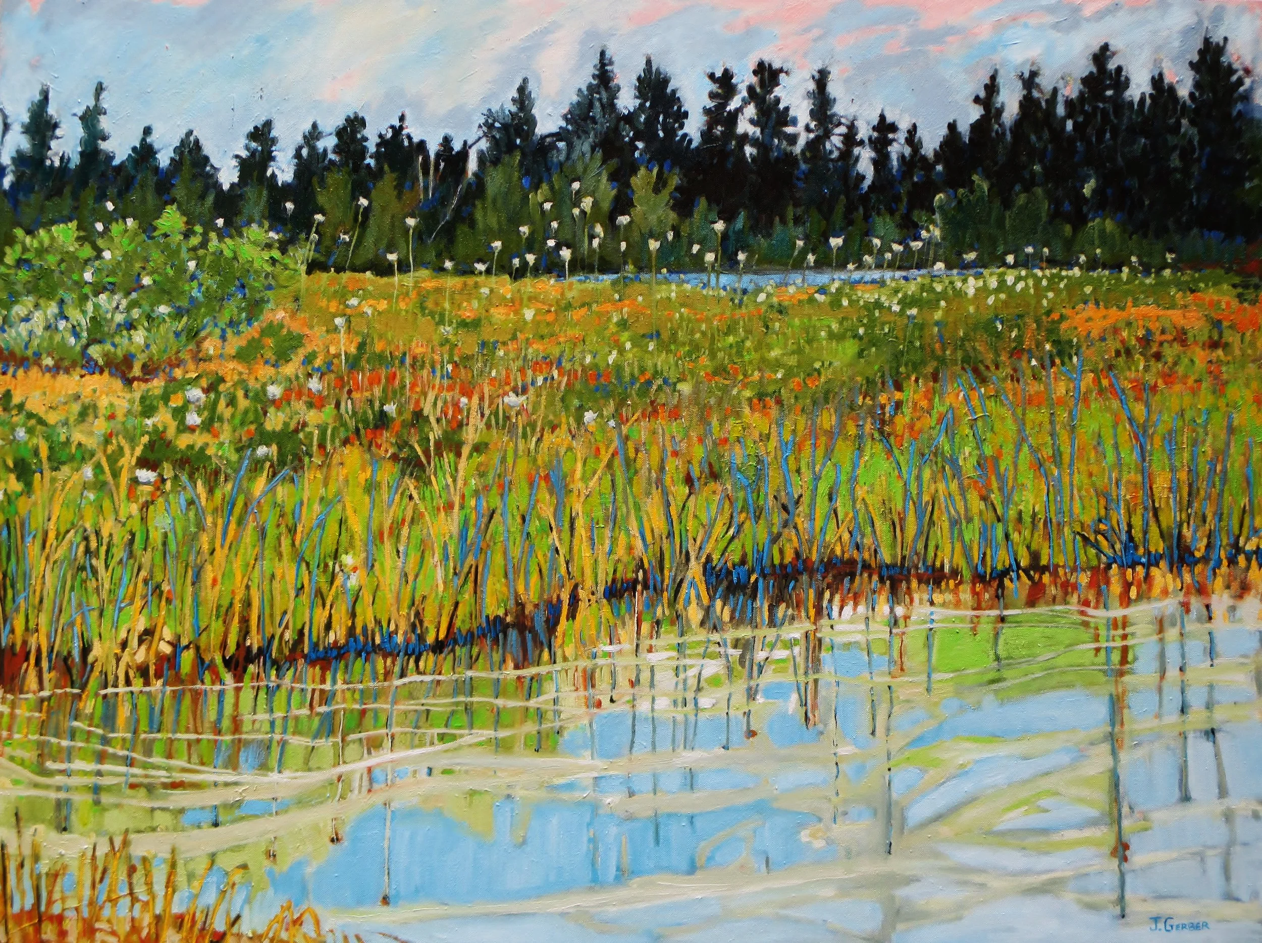 Still Water Graphics Cotton Grass in Bog River Flow (large).JPG