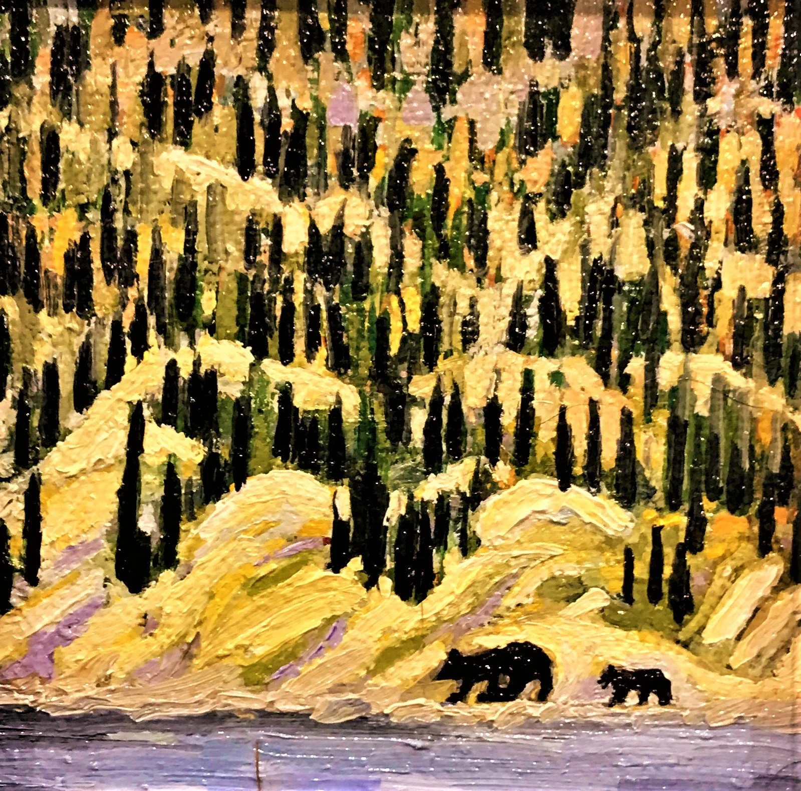 Searching for Salmon.JPG