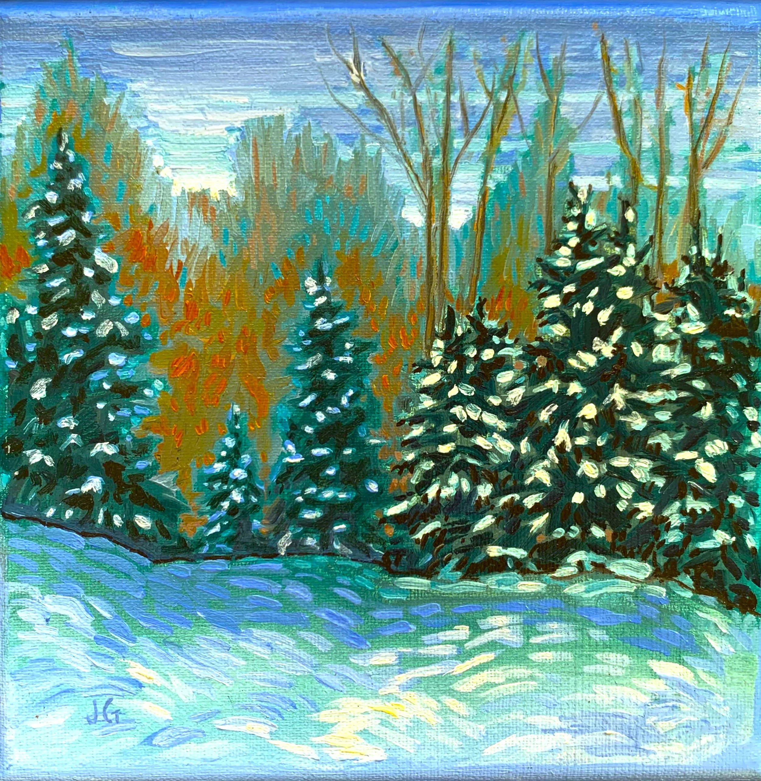 winter woods.JPG