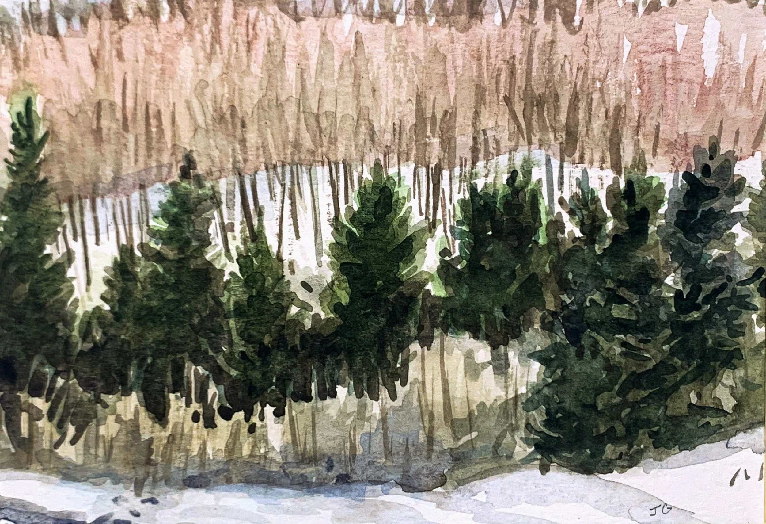 Evergreens in Snow, 5x7, framed 8x10.JPG