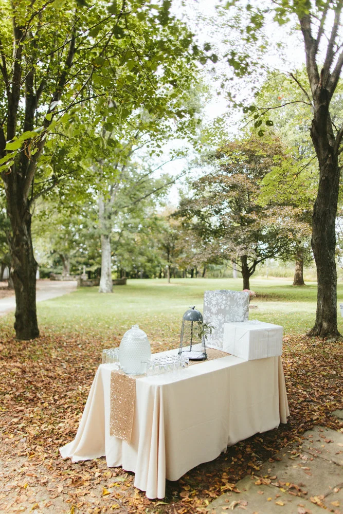 View More: http://janelleputrichphotography.pass.us/wedding-submission-ashley-chris