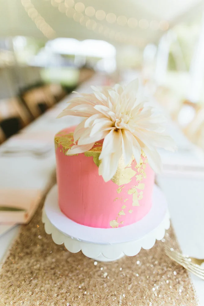 View More: http://janelleputrichphotography.pass.us/wedding-submission-ashley-chris