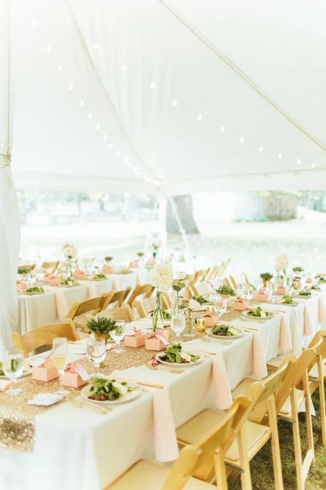 View More: http://janelleputrichphotography.pass.us/wedding-submission-ashley-chris