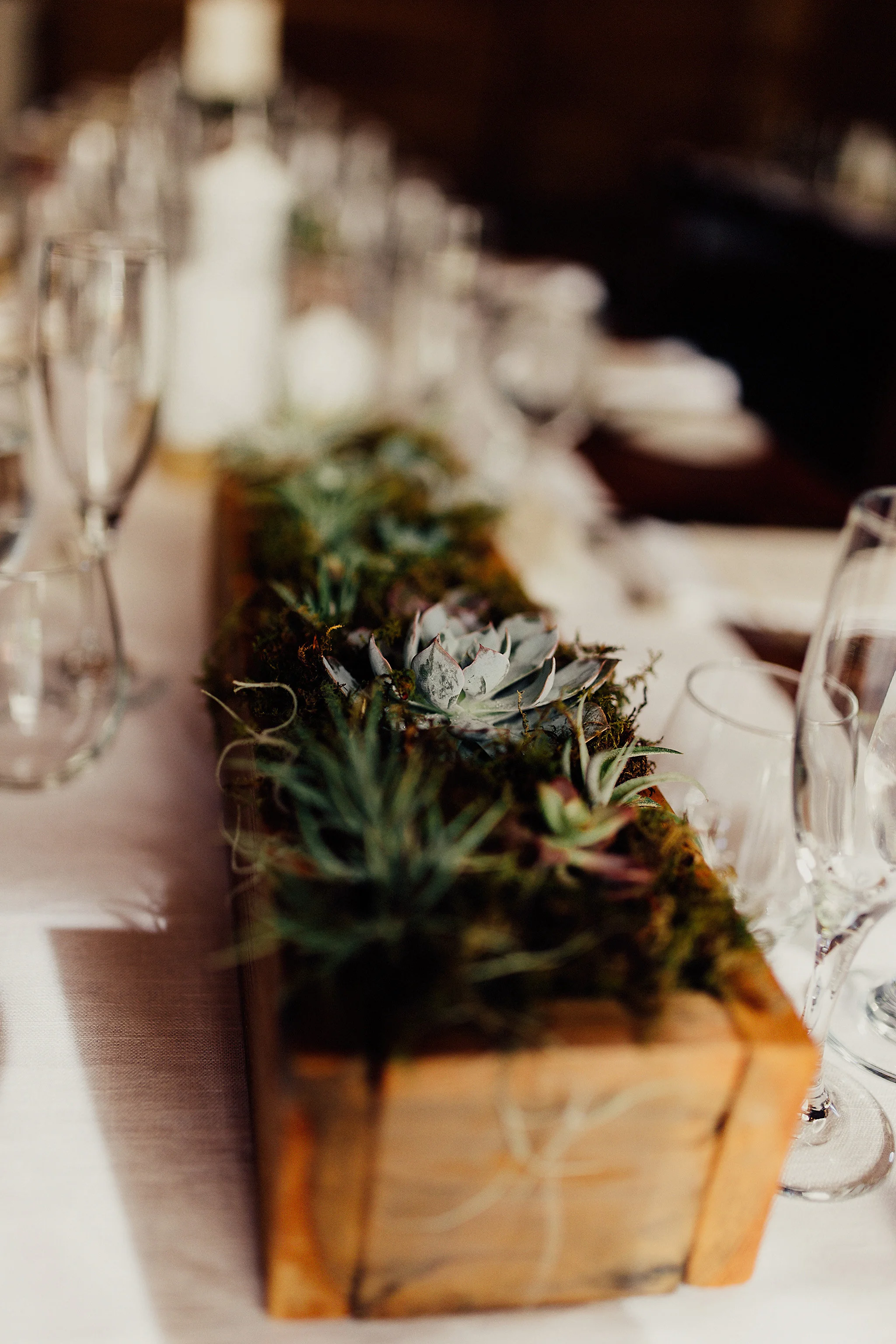 Jon+Michael-Ann-0343