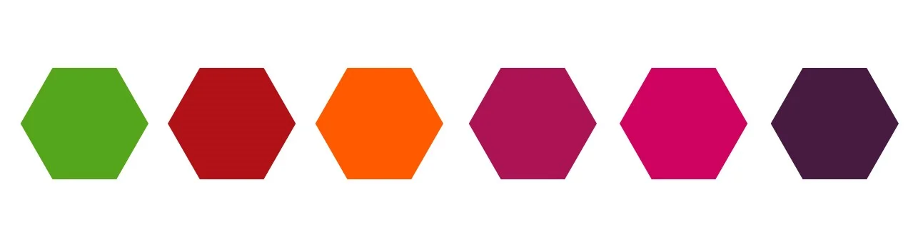 saven-taylor-colors
