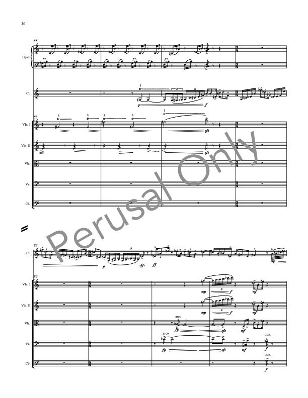 Razaz- Clarinet Concertino  perusal for site p3.jpg