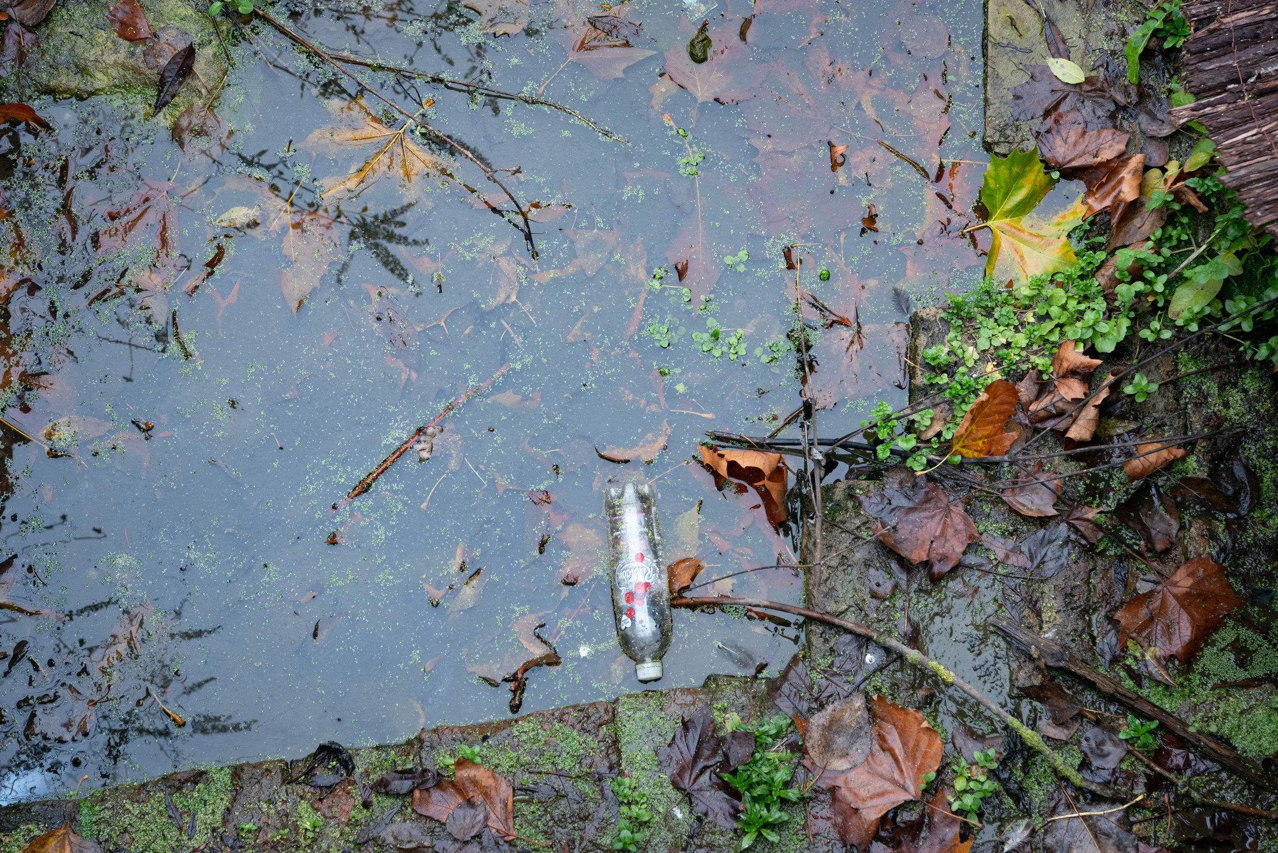 Rubbish-0457.jpg