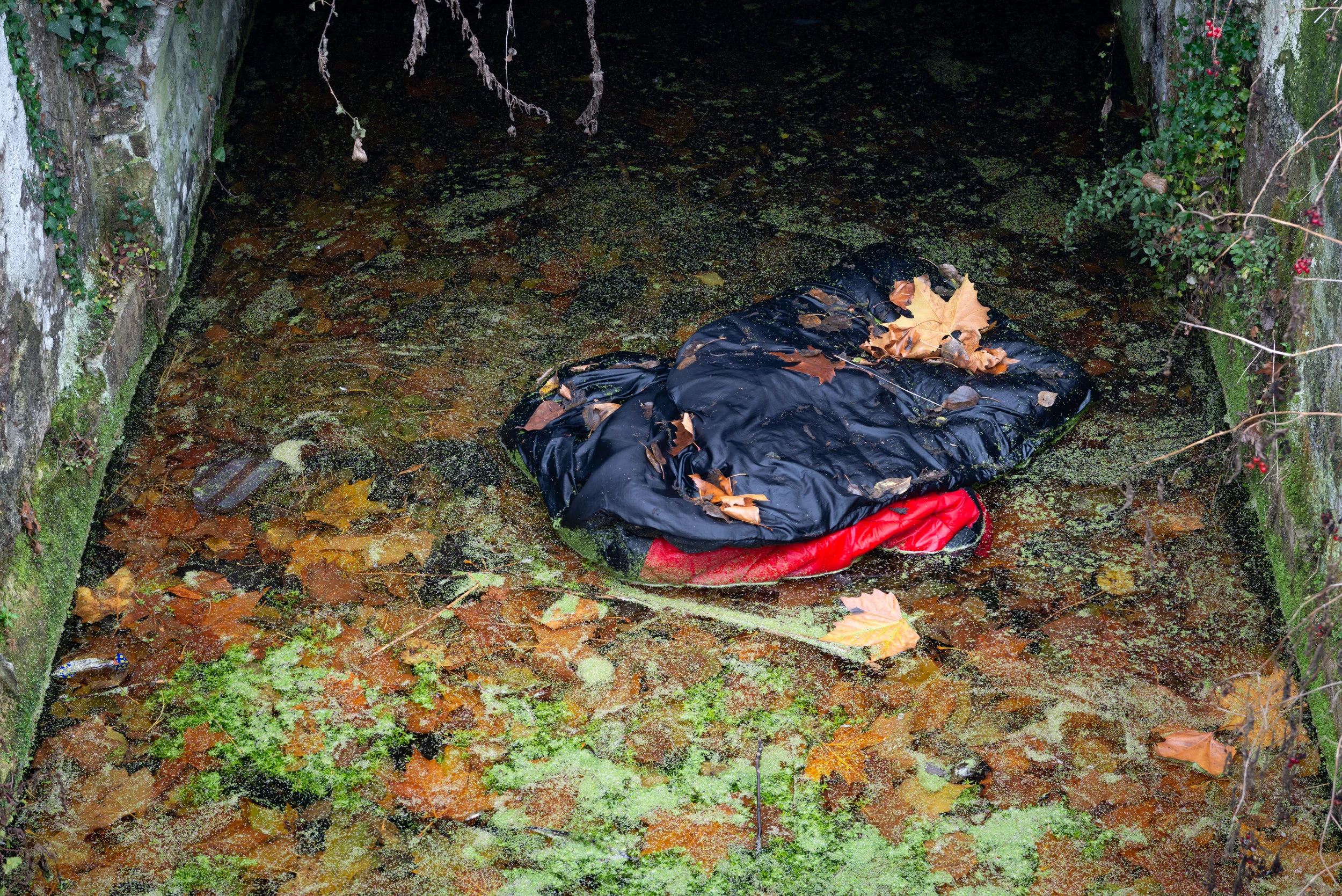 Rubbish-0455.jpg