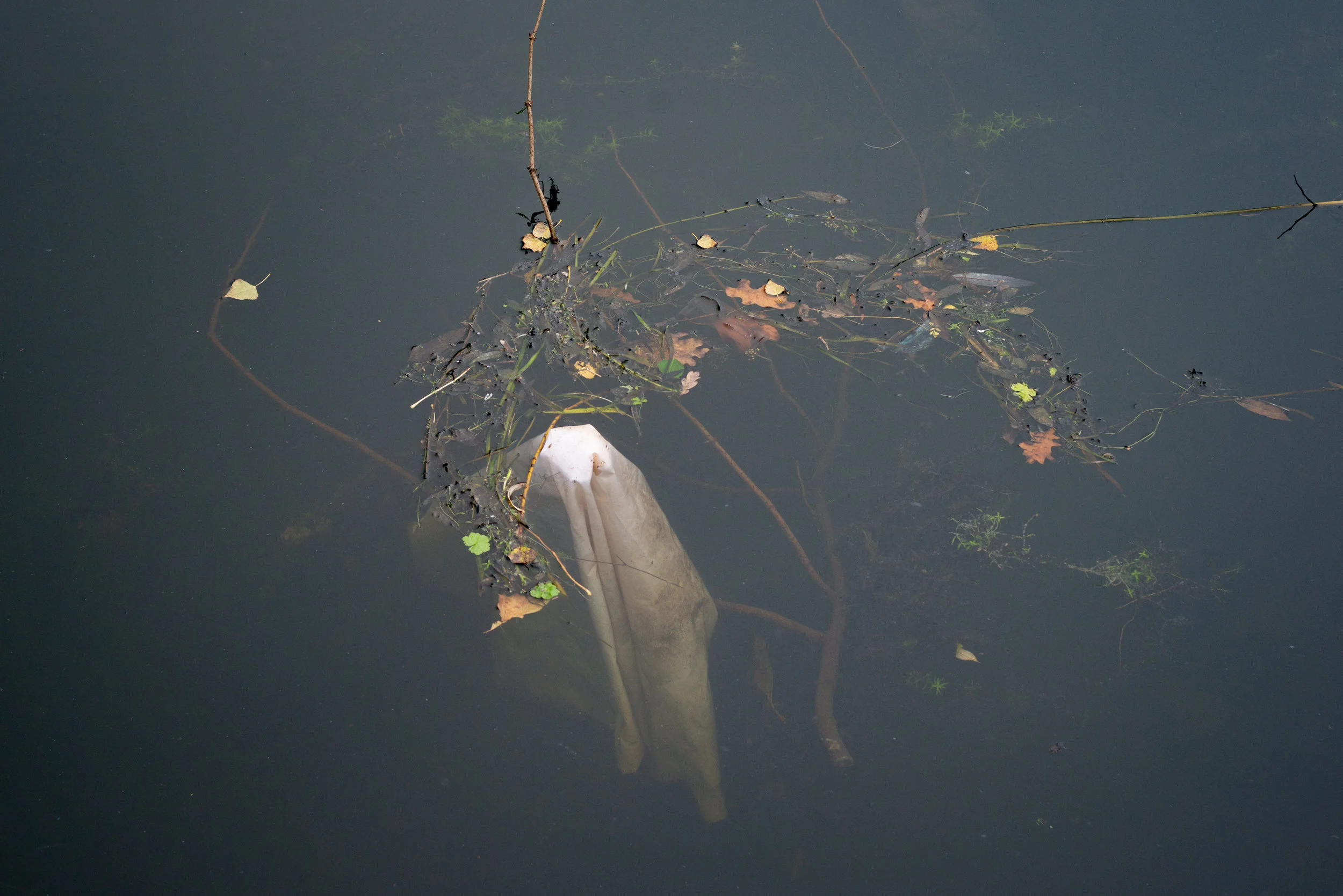 Rubbish-River-Lea-0539.jpg