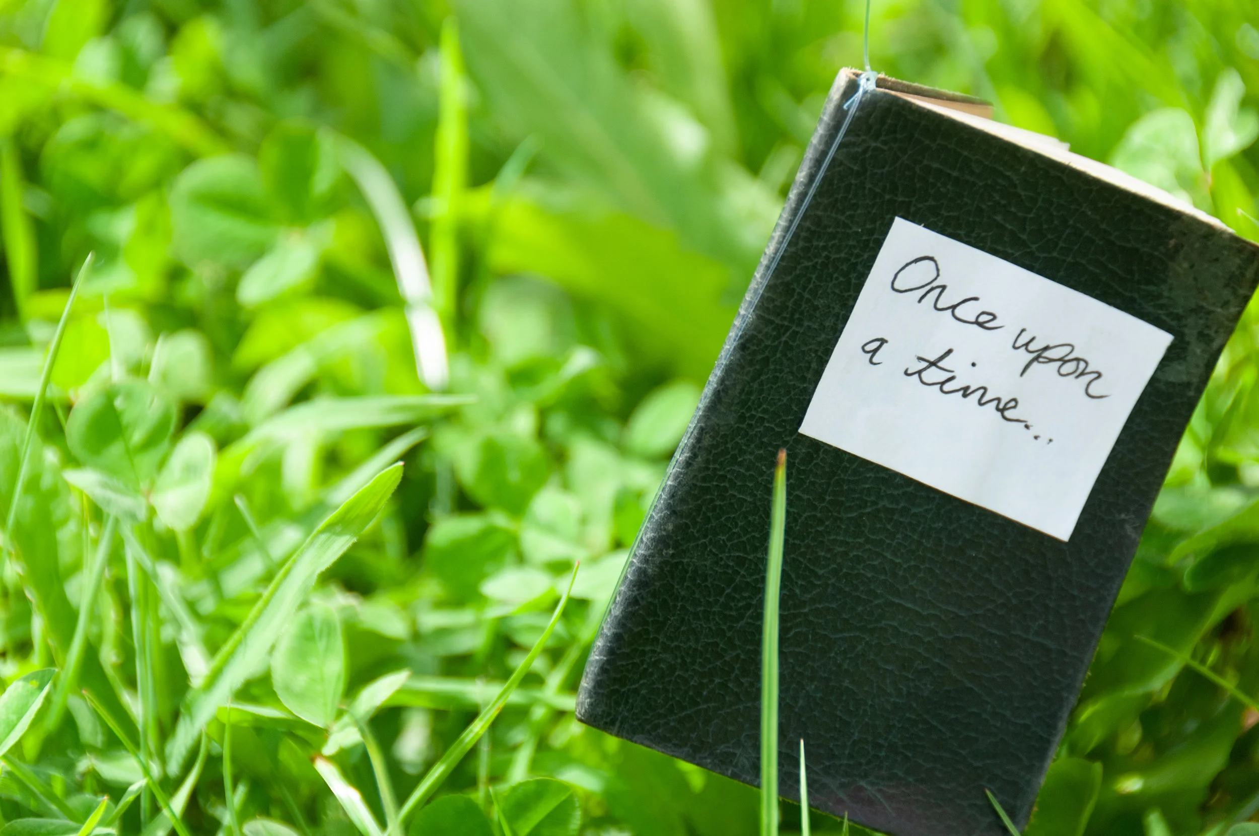 Green_and_Away-8257.jpg