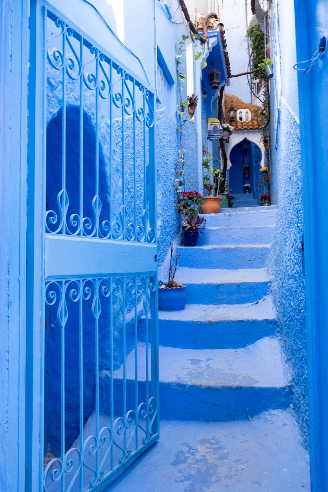 Morocco-Chefchaouen-9460.jpg