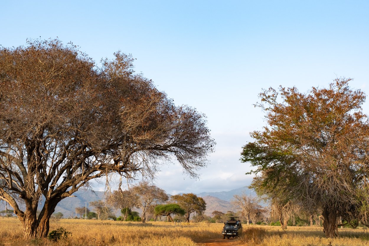 KENYA-Taita-Hills-safari-2937-3.jpg