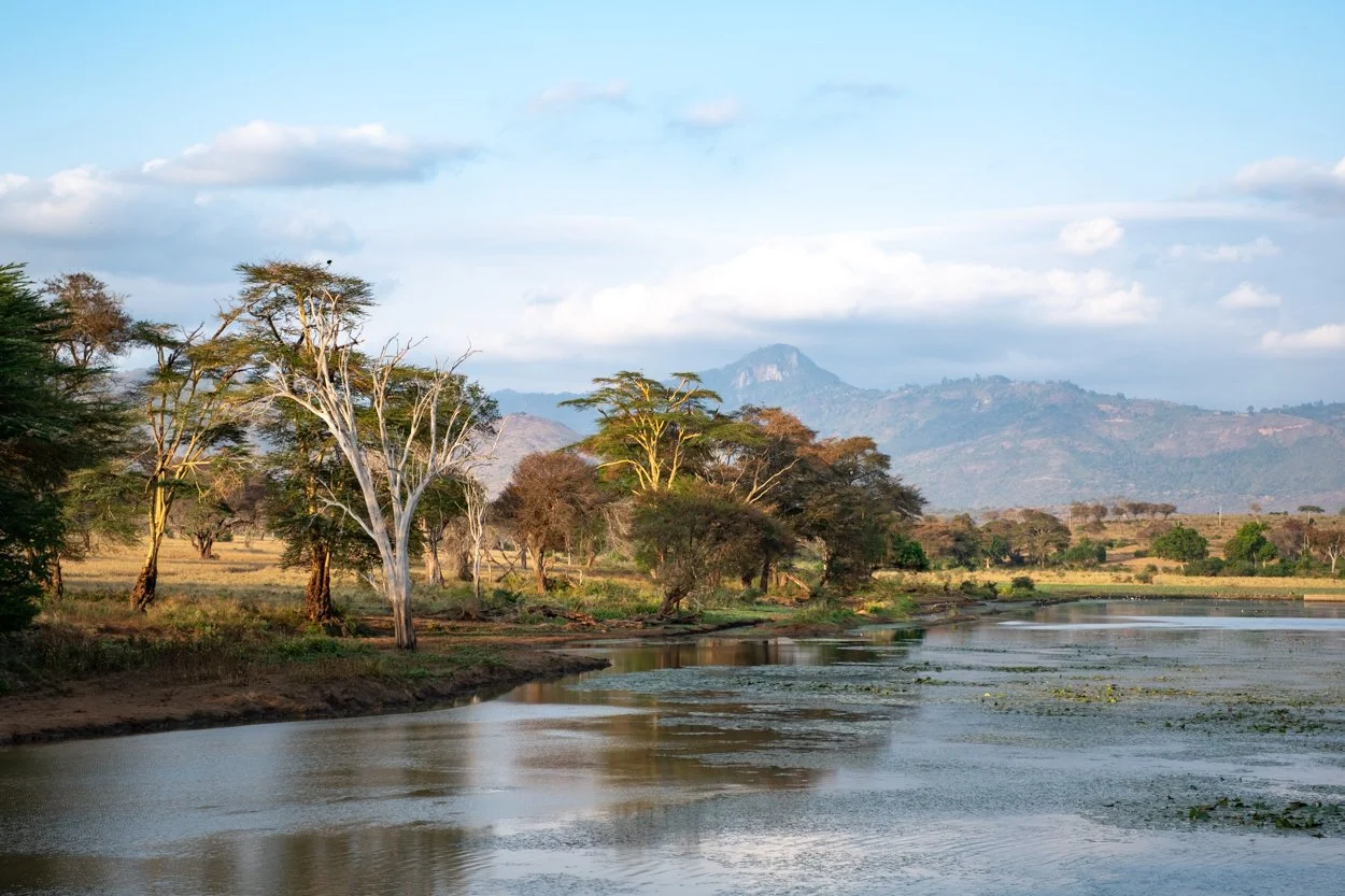 KENYA-Taita-Hills-safari-2966-2.jpg