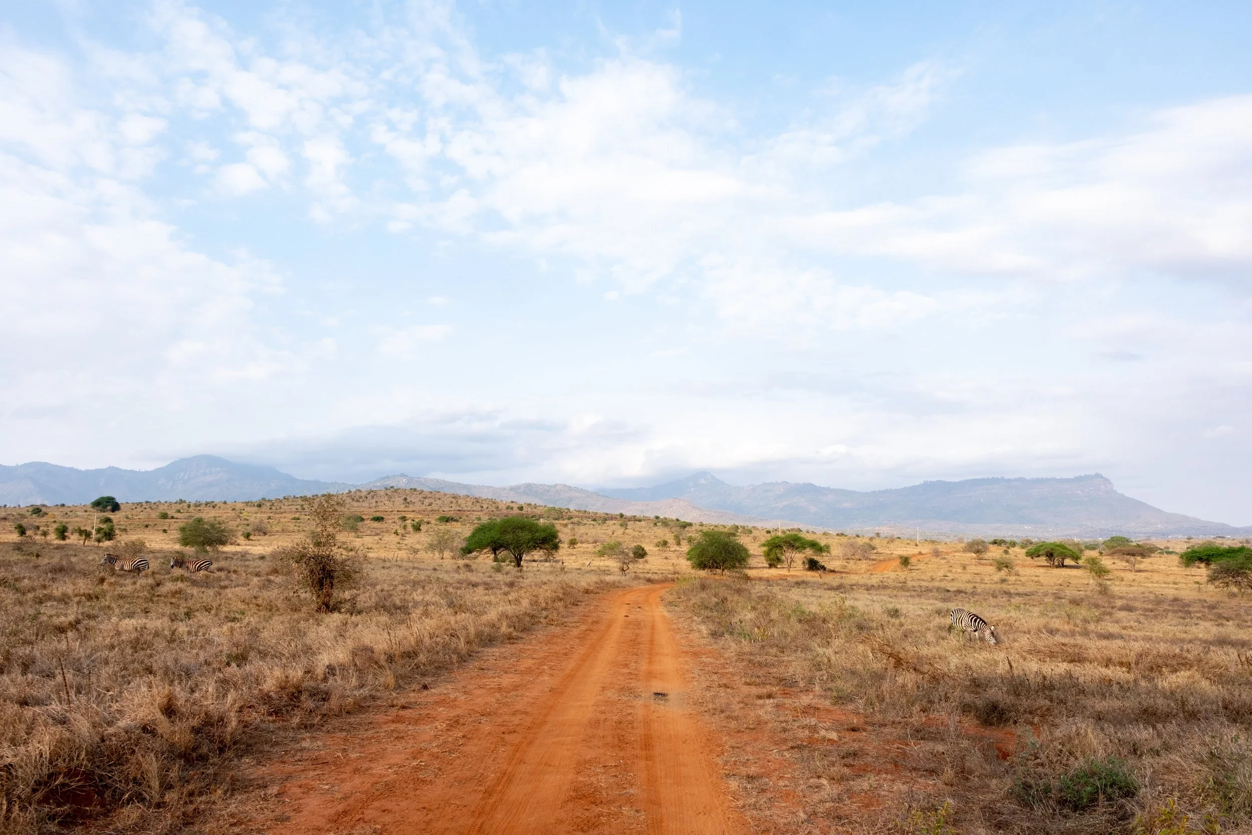 KENYA-Taita-Hills-safari-2918.jpg