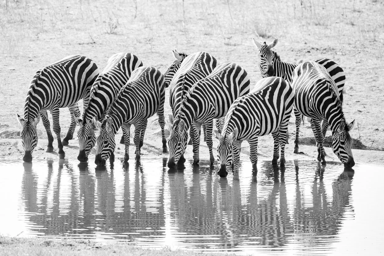 KENYA-Taita-Hills-safari-6796-3.jpg