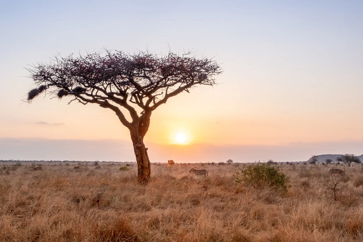 KENYA-Taita-Hills-safari-3183-3.jpg