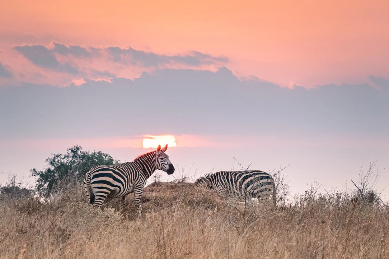 KENYA-Taita-Hills-safari-6724-4.jpg