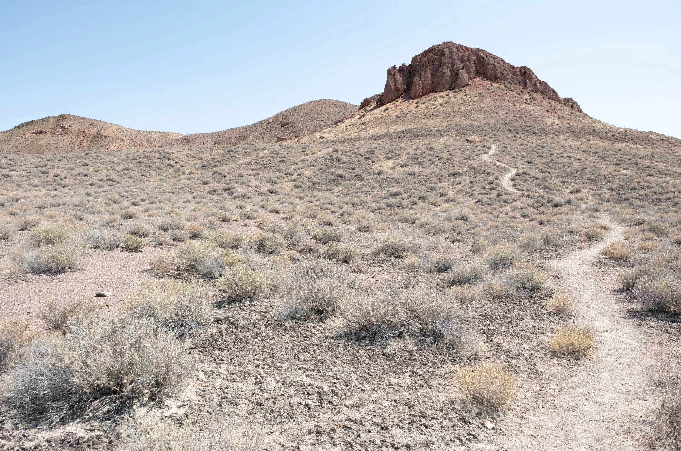 Cowboy-Corridor7.jpg