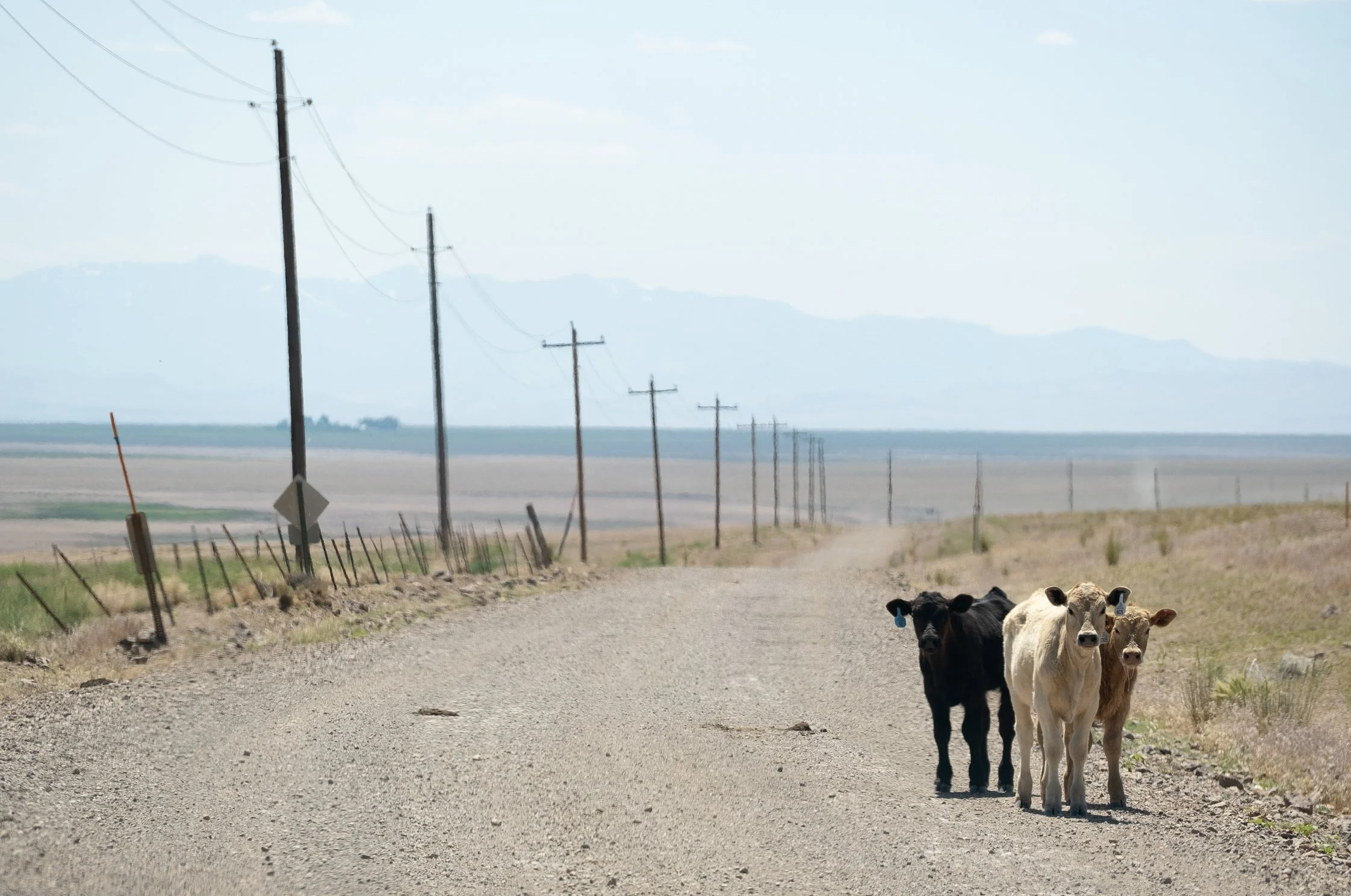 Cowboy-Corridor32.jpg