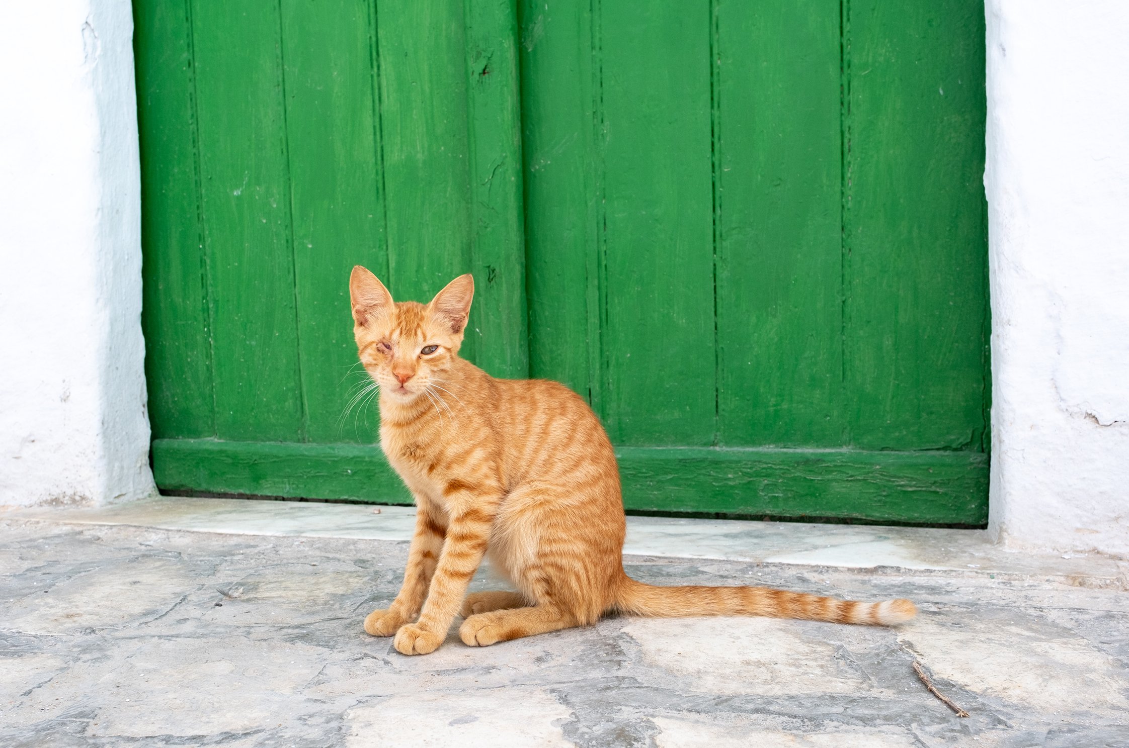 Tunisia-Kairouan4.jpg