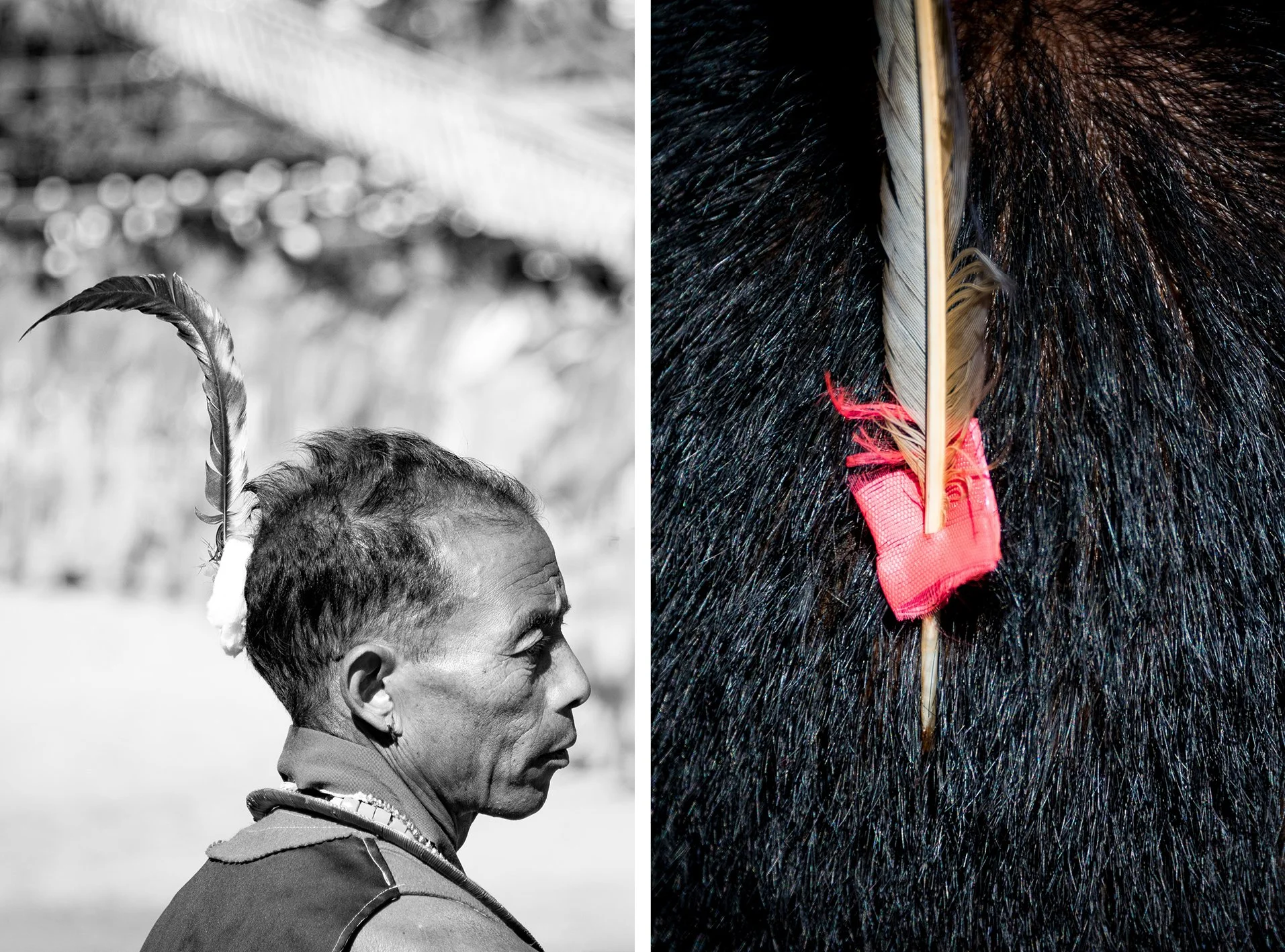 Nagaland-2x25.jpg
