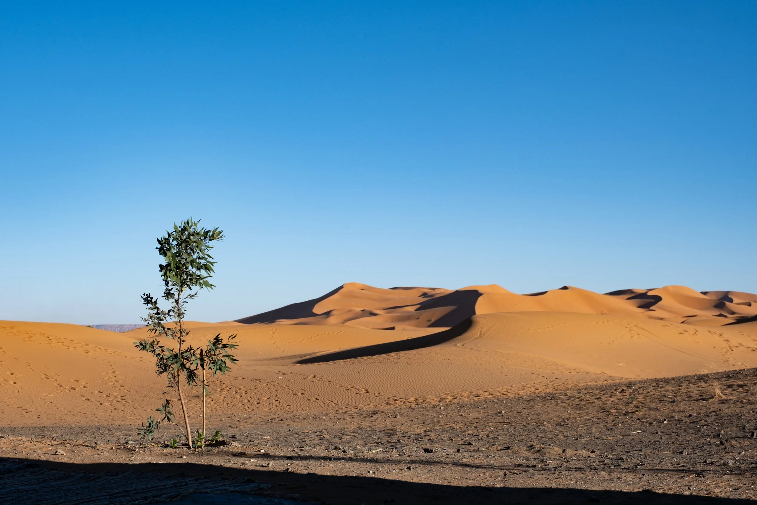 MOROCCO-Merzouga-9763.jpg