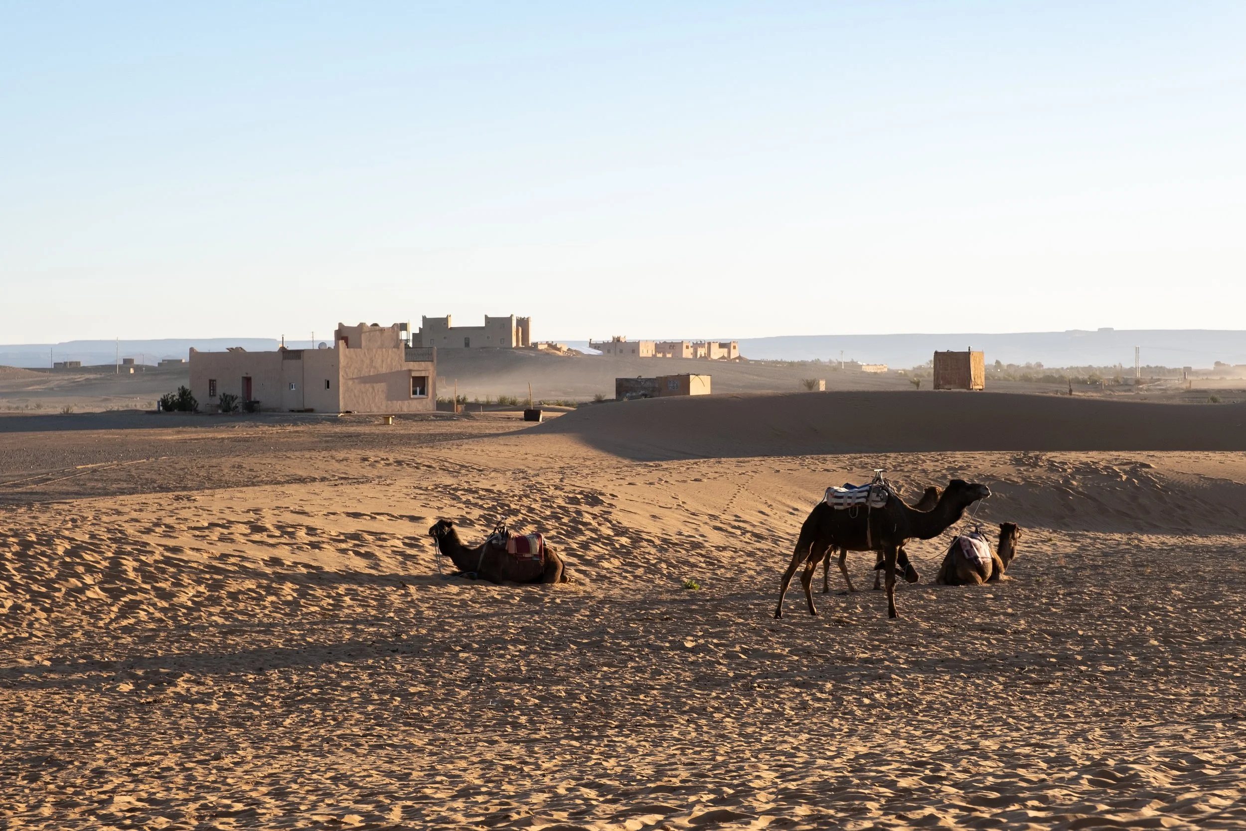 MOROCCO-Merzouga-9898.jpg