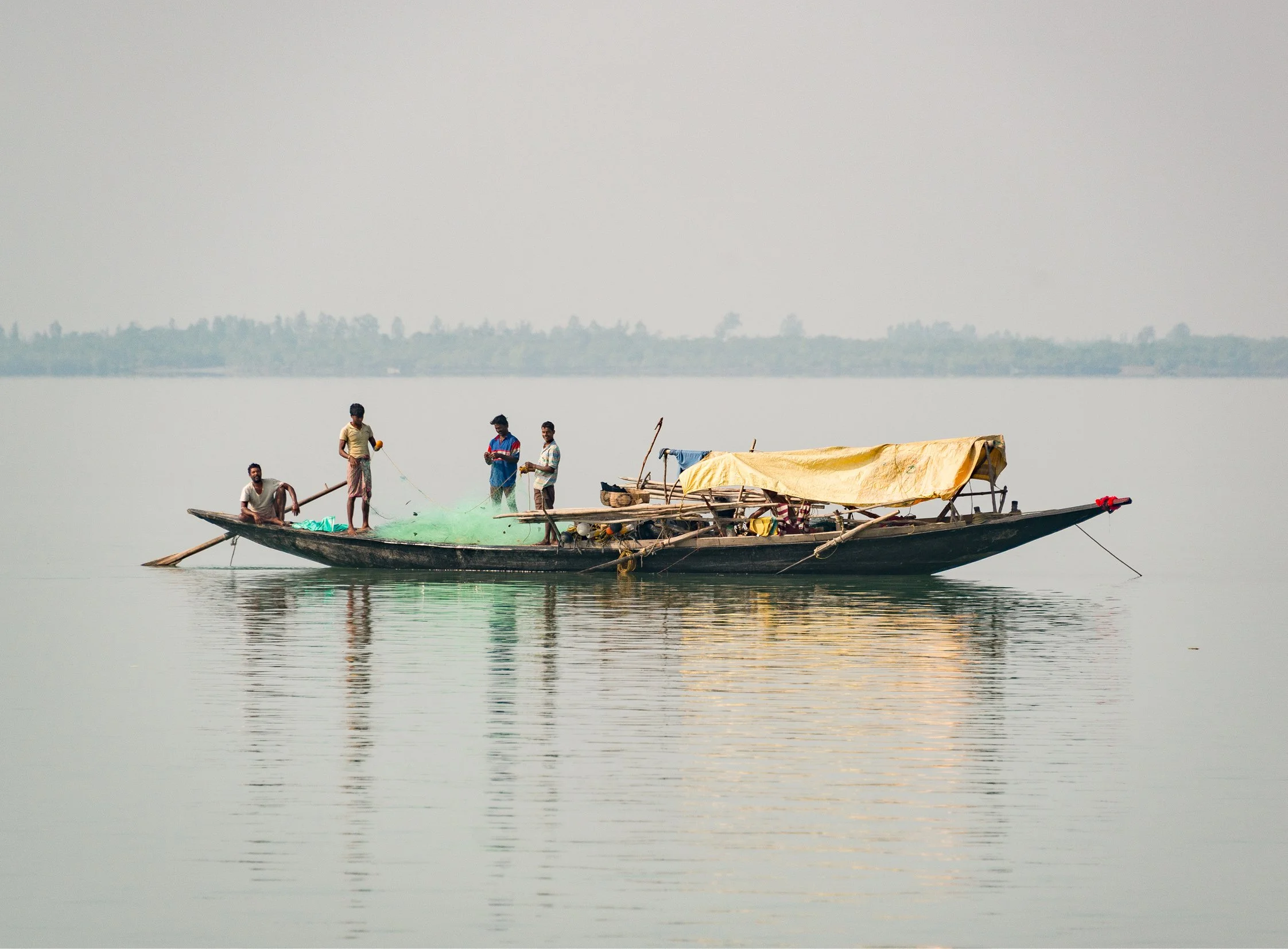 India-Sundarbans6.jpg