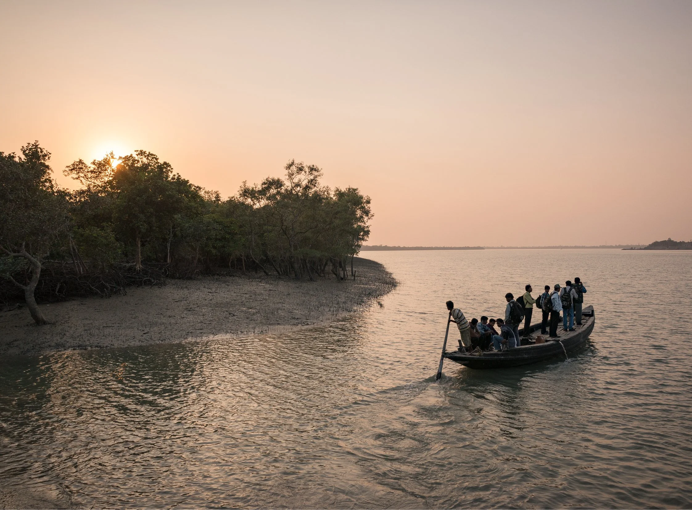 India-Sundarbans15.jpg