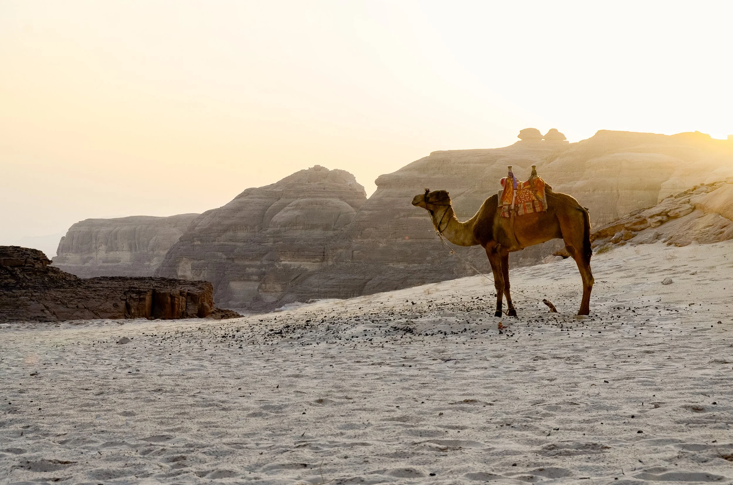 EGYPT-Sinai-2729.jpg
