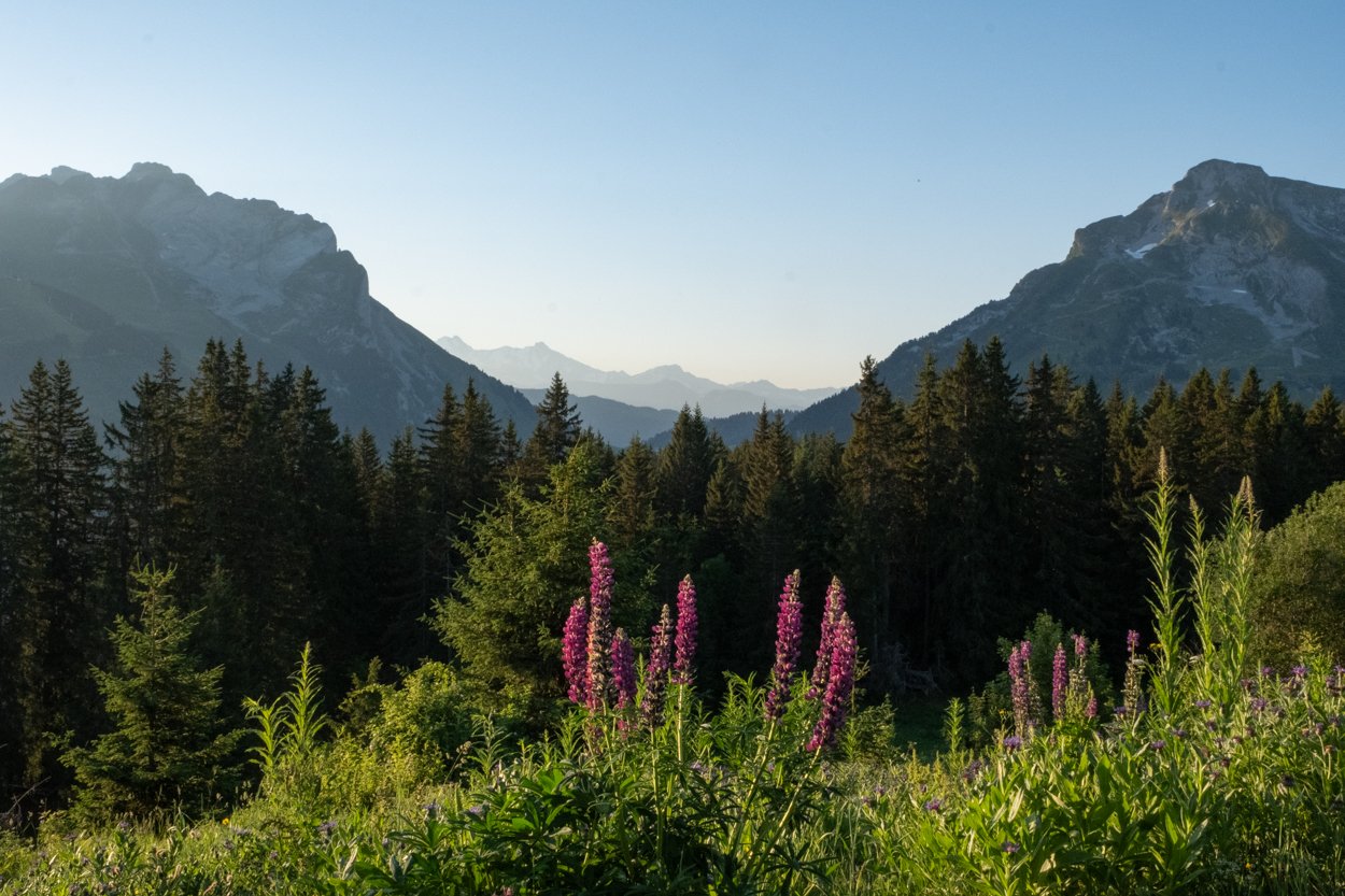 FRANCE-Alps-La-Cluzas-562225.jpg