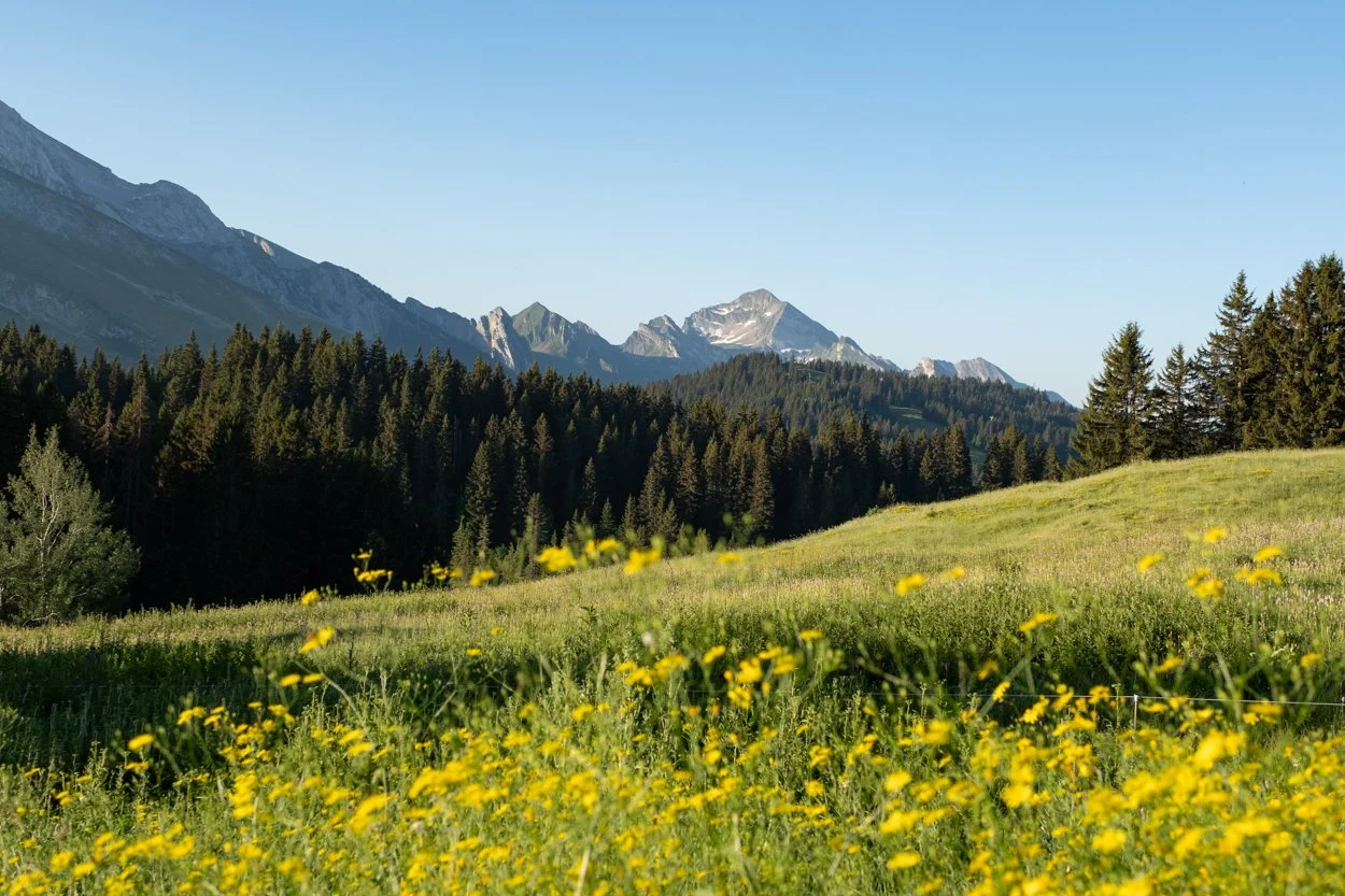 FRANCE-Alps-La-Cluzas-562312.jpg